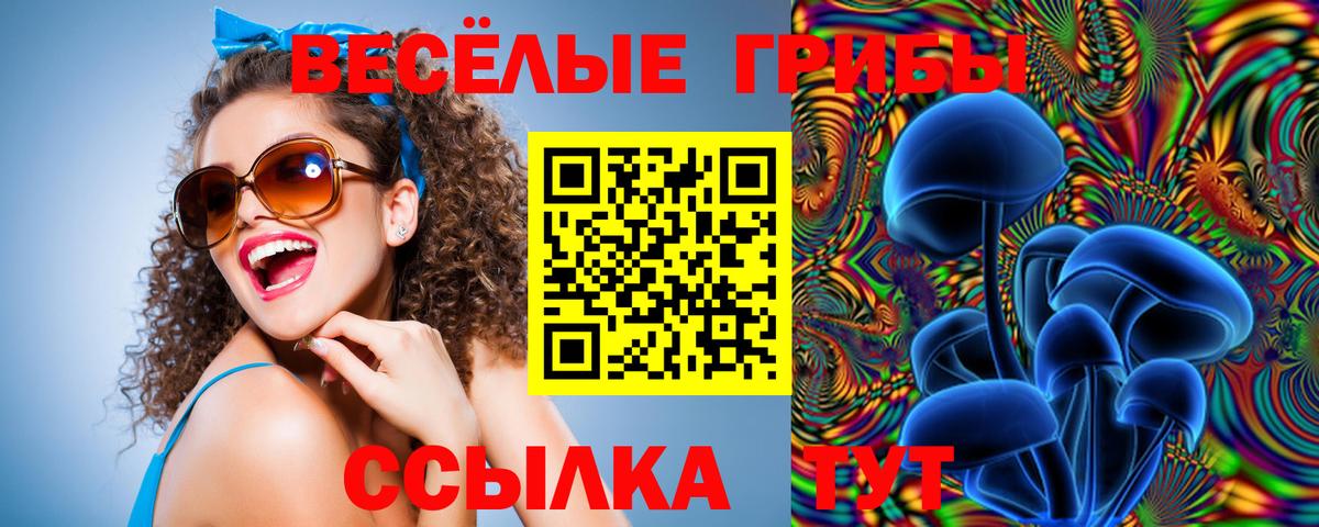 Галлюциногенные грибы Magic Shrooms  Вход с VPN  Спасск-Дальний 