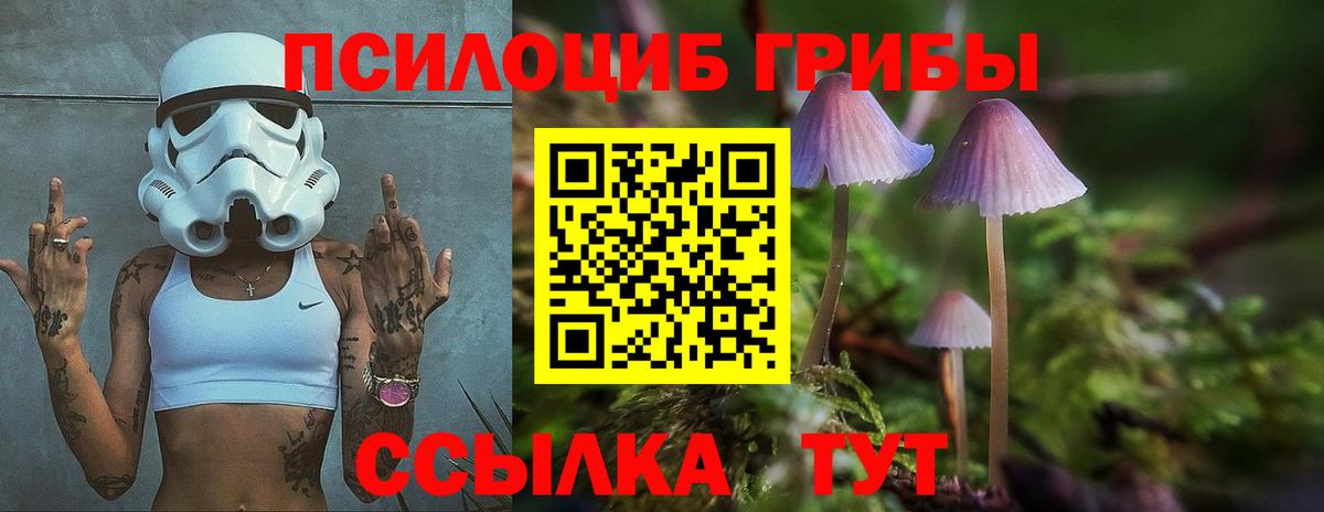 Псилоцибиновые грибы Psilocybine cubensis Спасск-Дальний